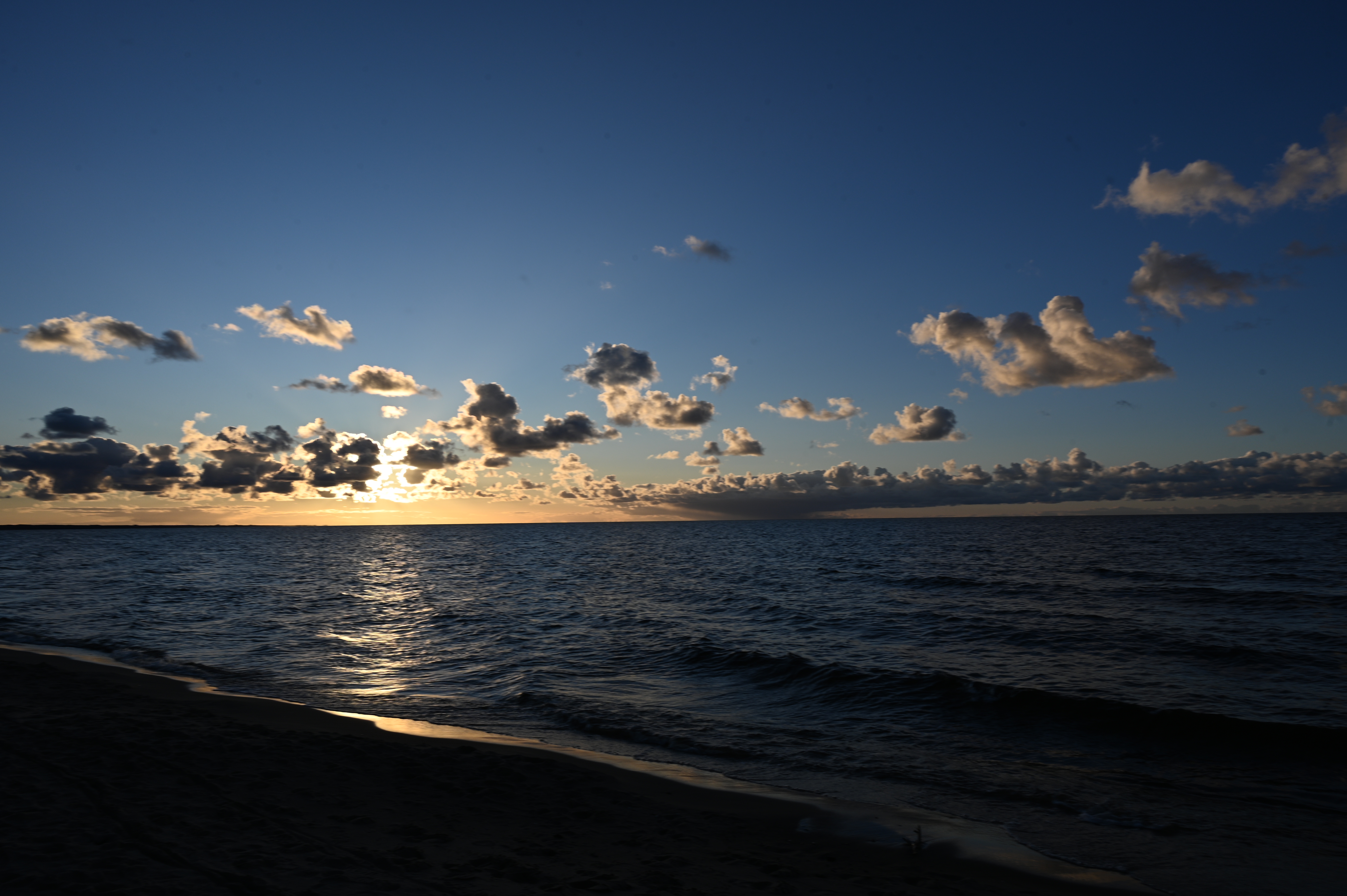 2025/10/18 - walk/DSC_0272.JPG